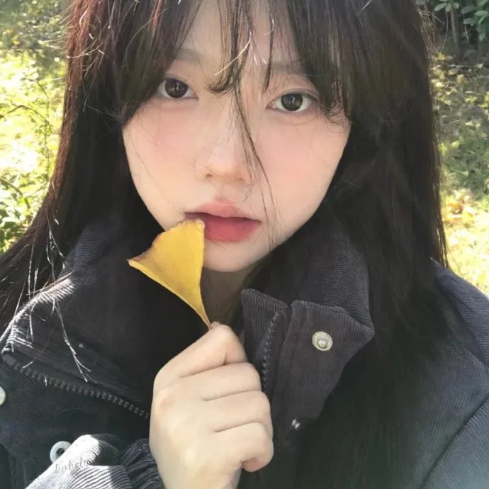 锦绣令